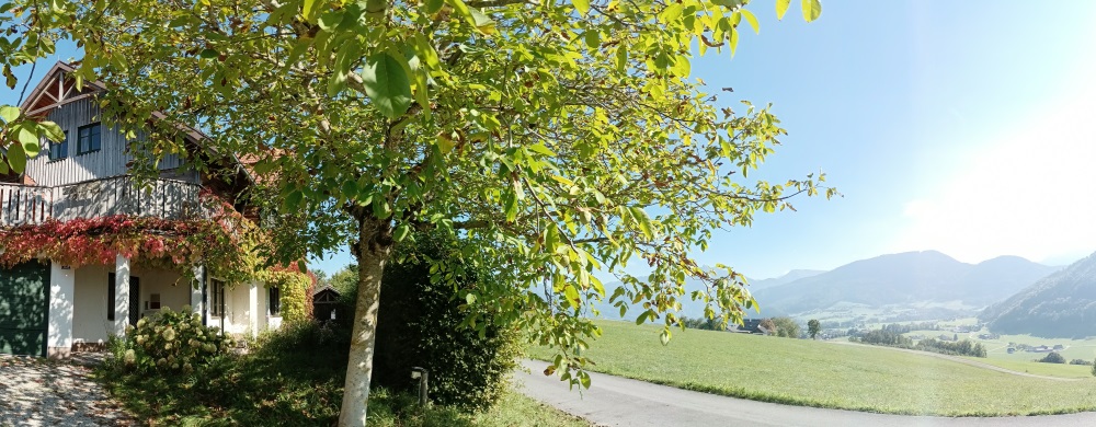 Franchiserecht Anwalt Altmünster